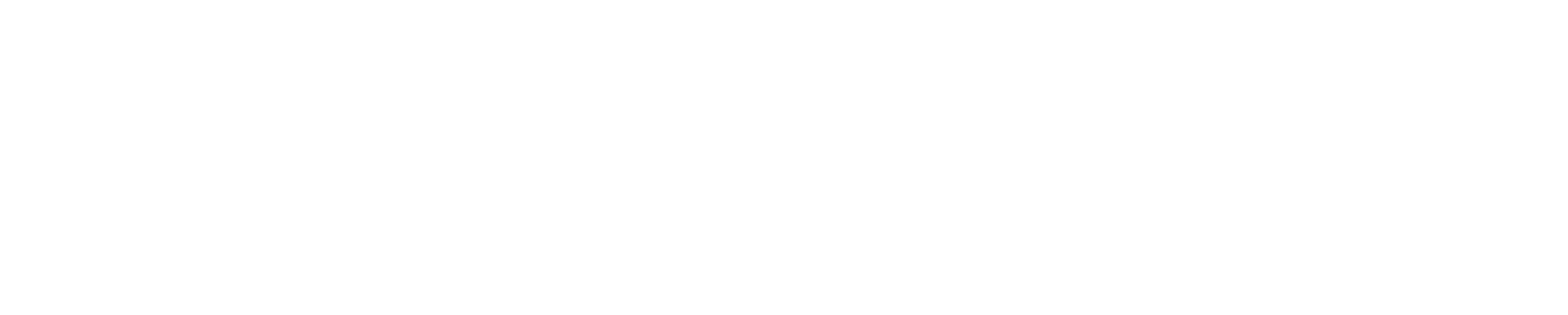 bionsmart