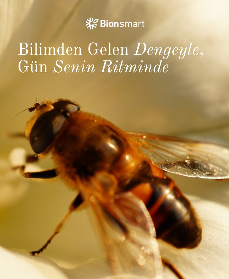 Propolis Sprey